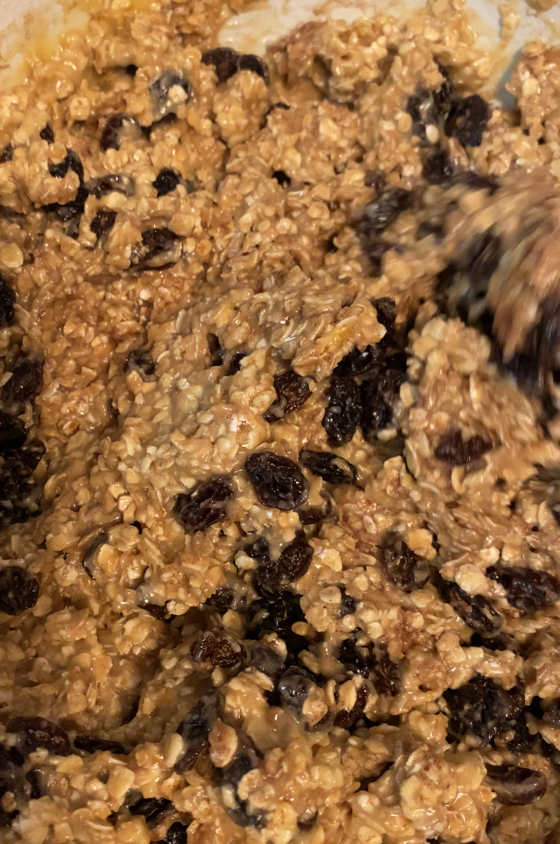 The Ultimate Oatmeal Raisin Drop