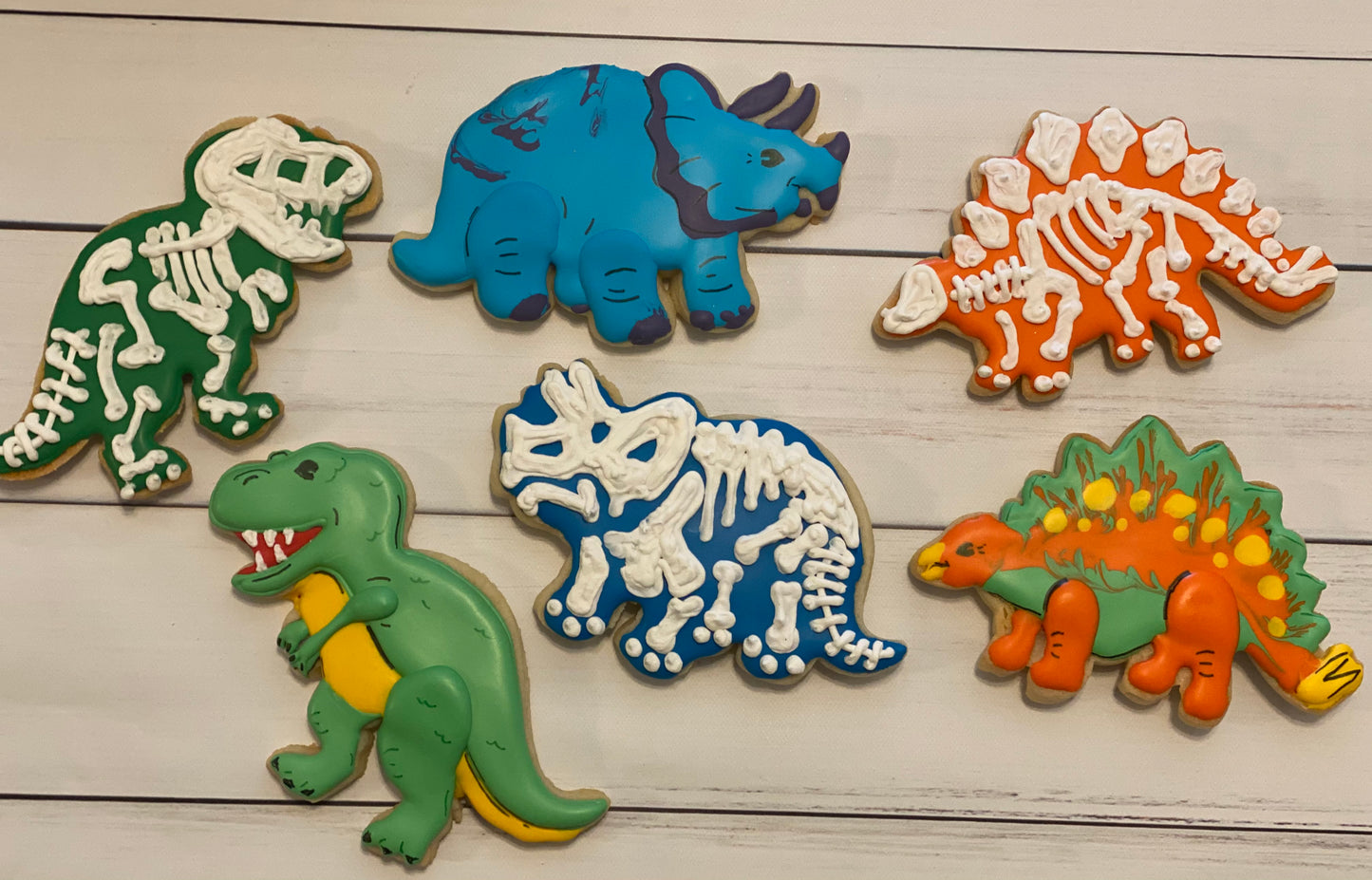 Nothing but Dinosaurs- 2 dozen