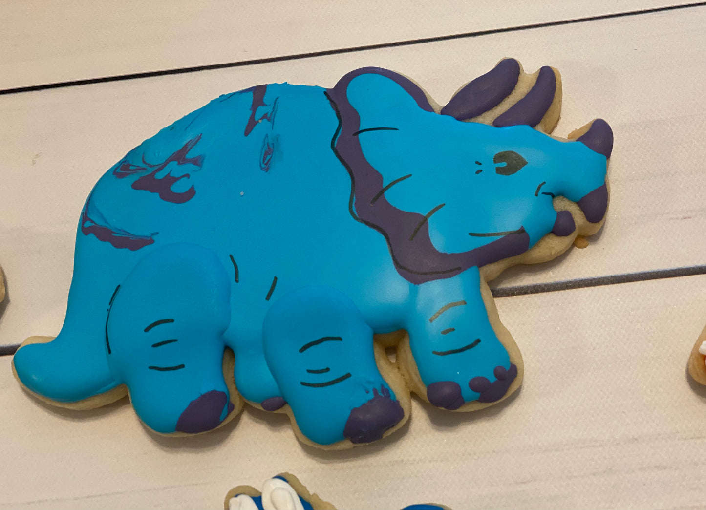 Nothing but Dinosaurs- 2 dozen